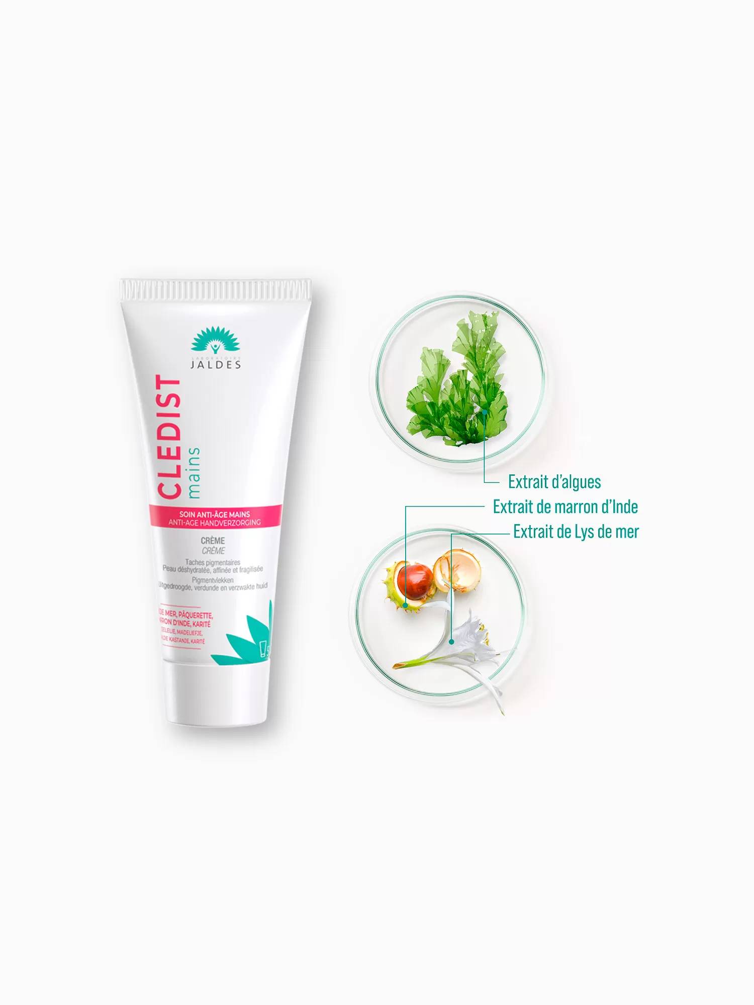 Cledist mains - 50 ml