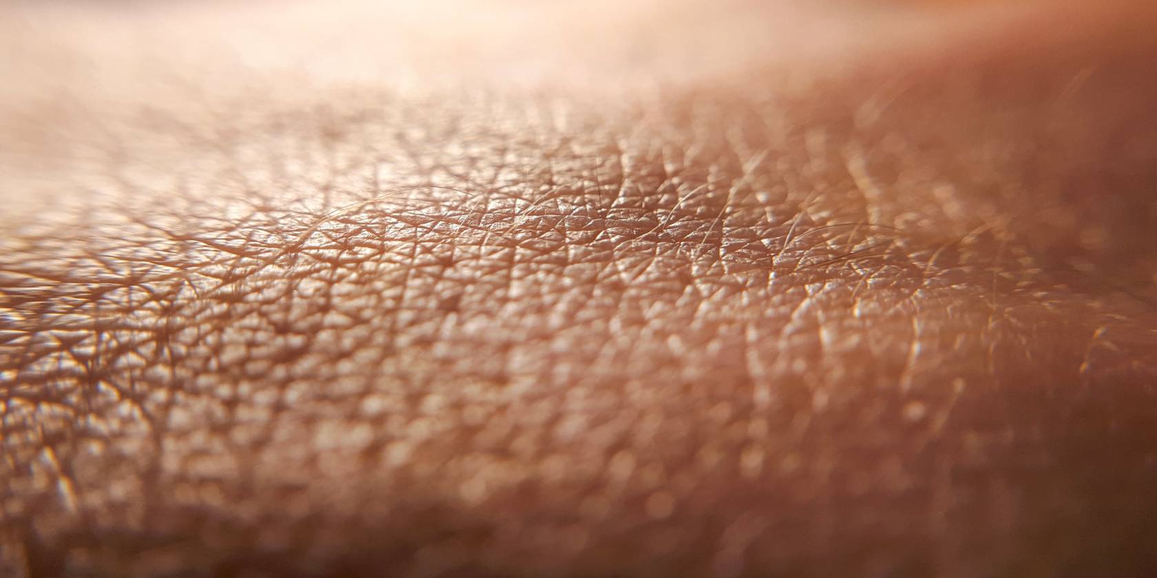 Réparer sa barrière cutanée endommagée
