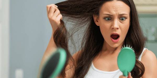 article 22 cover image