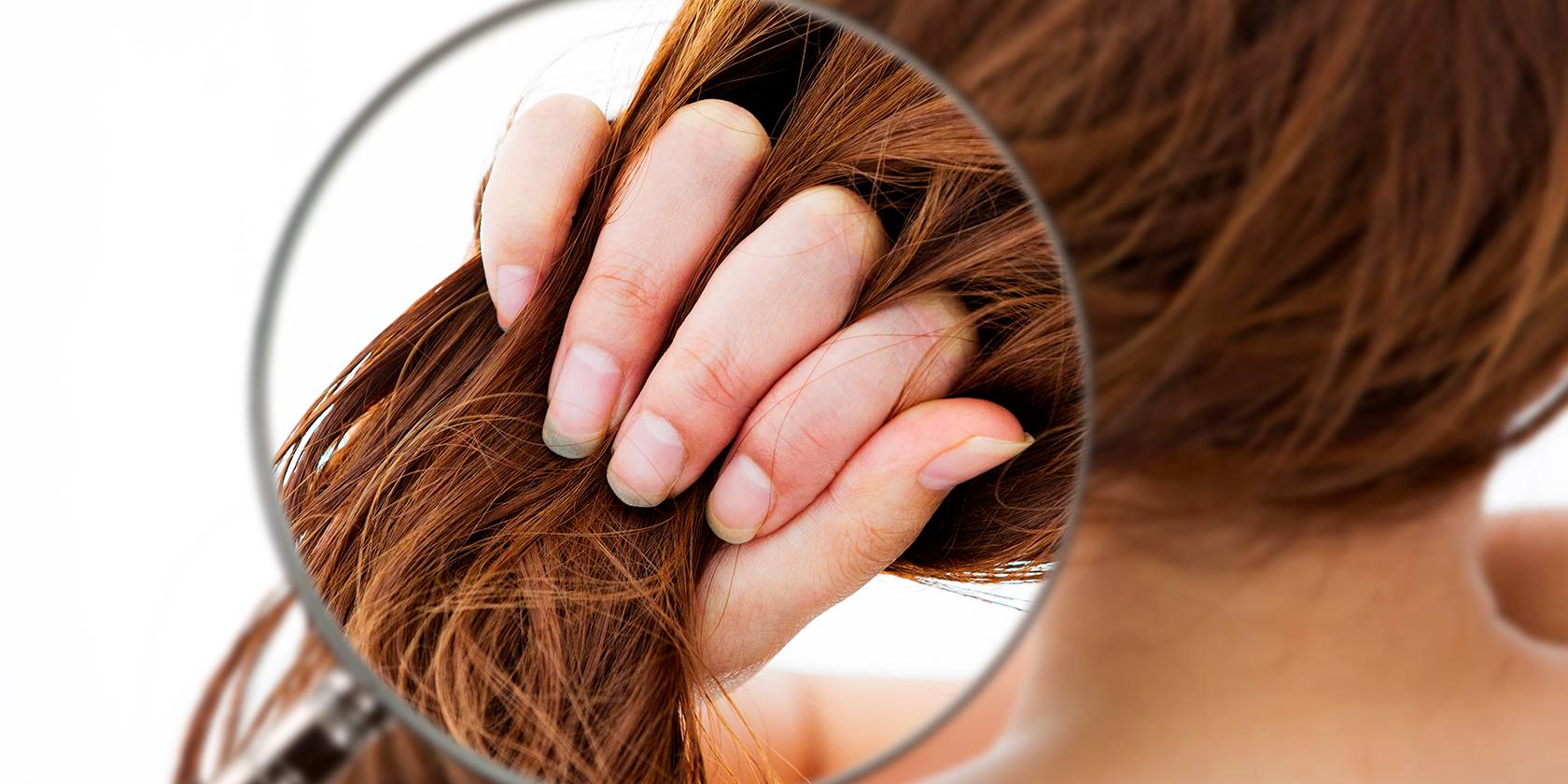 article 54 cover image